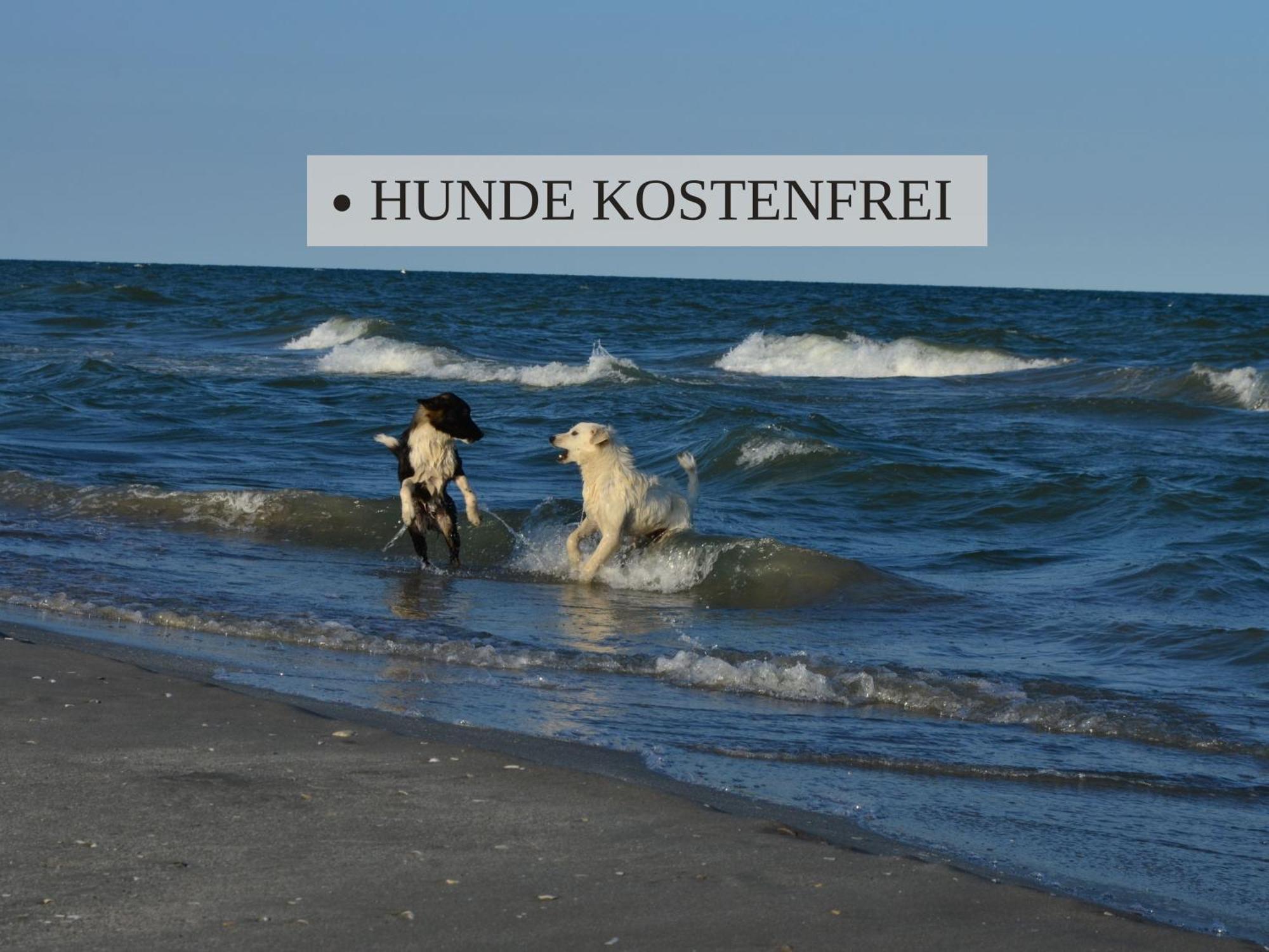 Haus Krabbe Apartments, Zentral Gelegen Im Idyllischen Nordseeort Zwischen Bremerhaven Und Cuxhaven, Hunde Kostenfrei Willkommen, Hauseigene Kostenfreie Parkplaetze Wremen Zewnętrze zdjęcie